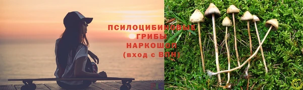 амф Алзамай
