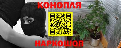 круглые Новодвинск